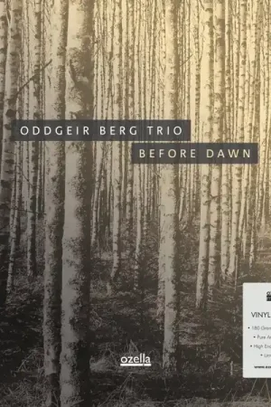 Oddgeir Berg Trio - Before Dawn (LP) New Release