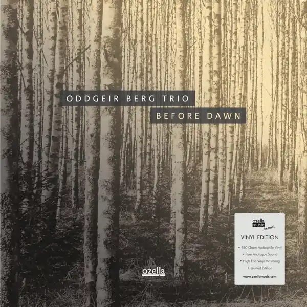 Oddgeir Berg Trio - Before Dawn (LP) New Release