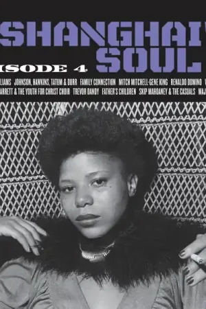 V/A - Shanghai'd Soul (LP) Don’t Miss Out