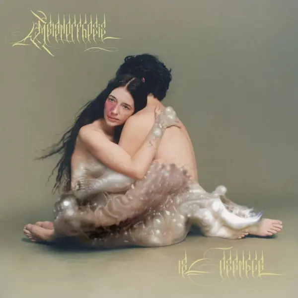 12 Ensemble - Metamorphosis (2 LPs) Popular