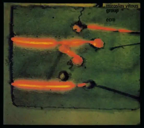 Grab Now Miroslav Vitous - Miroslav Vitous Group (LP)