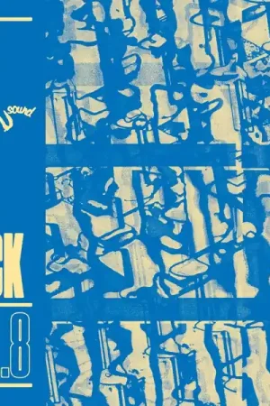 V/A - Pay It All Back Vol.8 (LP) Same Day Shipping