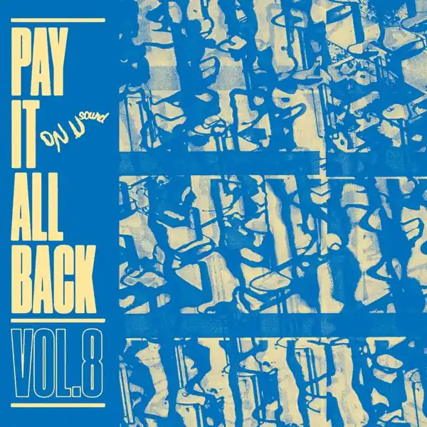 V/A - Pay It All Back Vol.8 (LP) Same Day Shipping