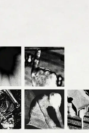 Nine Inch Nails - Bad Witch (LP) Shop Now