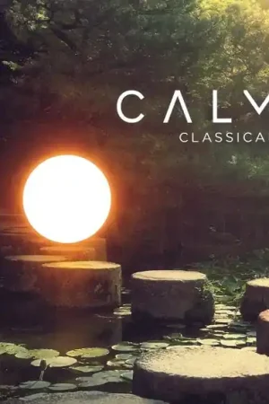 V/A - Calm Classical (2 LPs) Crafted