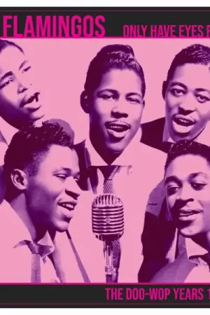 Sale Flamingos - Only Have Eyes For You: the Doo-Wop Years (LP)