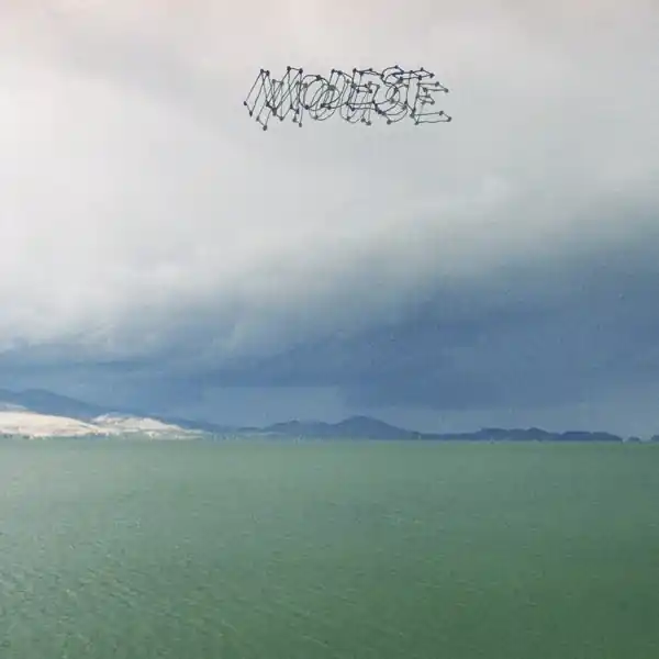 Modest Mouse - The Fruit That Ate Itself (LP) Exclusive Offer