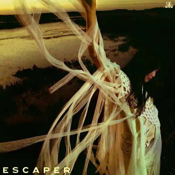 Sarah Kinsley - Escaper (LP) One Day Deal