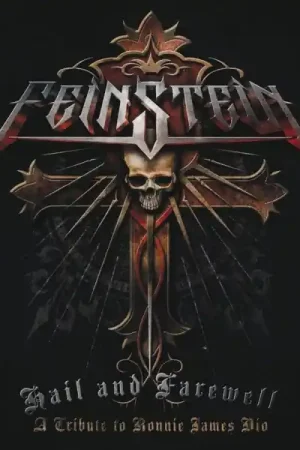 David "Rock" Feinstein - Hail and Farewell (LP) Flash Sale