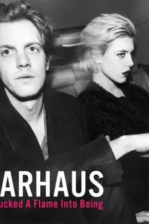 Warhaus - We Fucked a Flame Into Being (LP) Certified