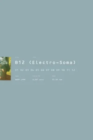Buy Direct B12 - Electro-Soma (2 LPs)