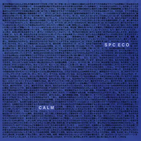 Editor’s Pick Spc Eco - Calm (LP)