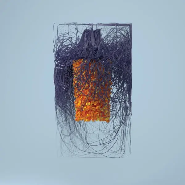 Plaid - Polymer (2 LPs) Last Chance