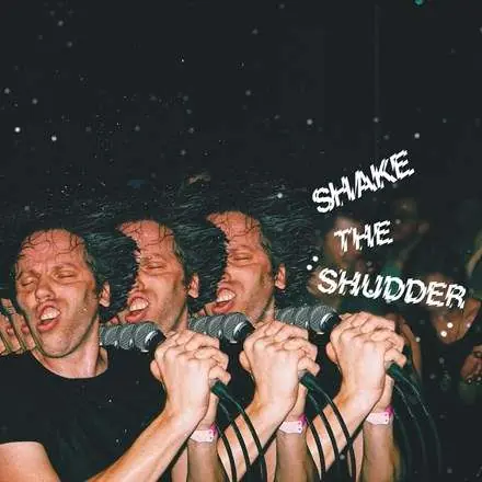 Chk Chk Chk (!!!) - Shake the Shudder (2 LPs) Markdown