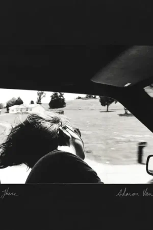 Direct From Manufacturer Sharon Van Etten - Are We There (LP)