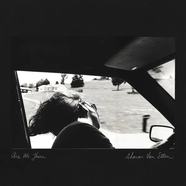 Direct From Manufacturer Sharon Van Etten - Are We There (LP)