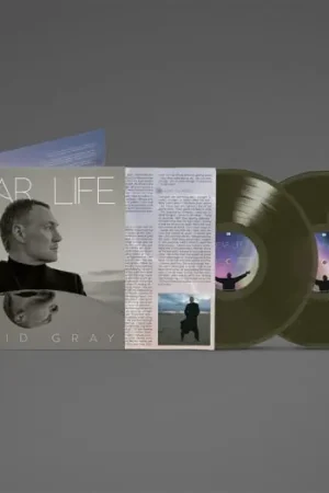 David Gray - Dear Life (2 LPs) Exclusive Offer