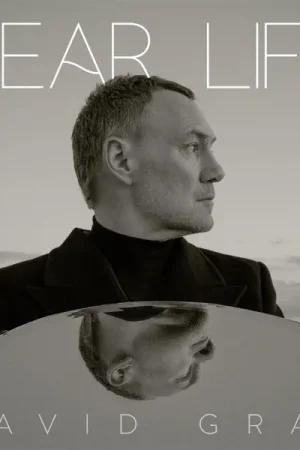 Fast Shipping David Gray - Dear Life (2 LPs)