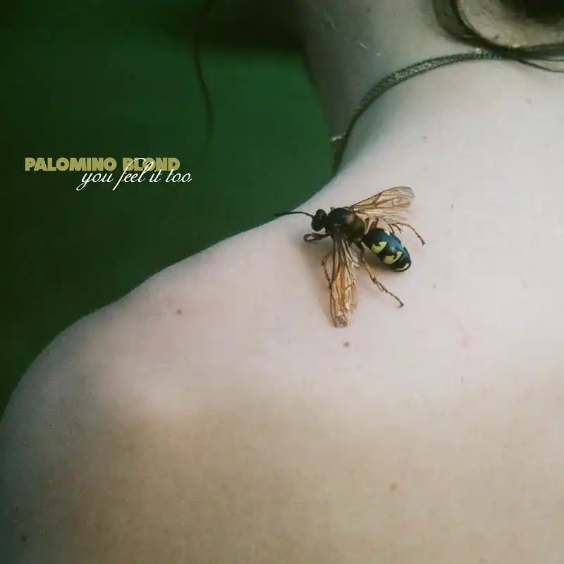Palomino Blond - You Feel It Too (LP) Top Rated