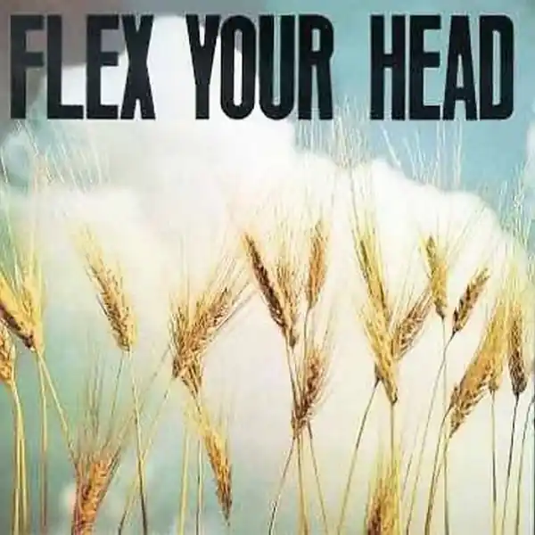 New Arrival V/A - Flex Your Head (LP)