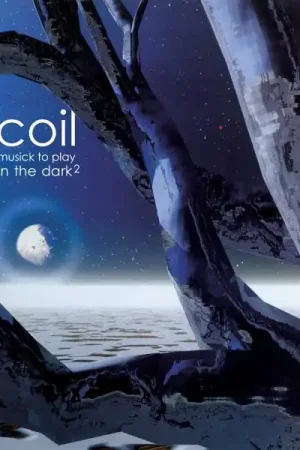 Limited Edition Coil - Musick To Play In the Dark 2 (2 LPs)