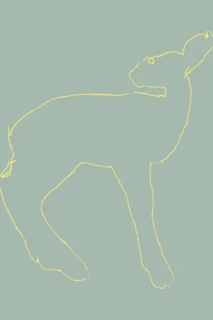 Songs: Ohia - Hecla & Griper (LP) Editor’s Pick