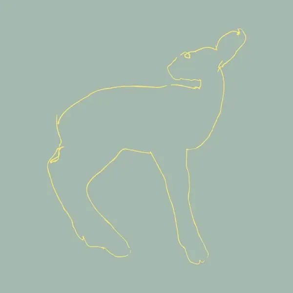 Songs: Ohia - Hecla & Griper (LP) Editor’s Pick