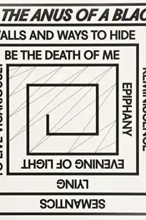 Kiss the Anus of a Black Cat - To Live Vicariously (LP) Reduced Price