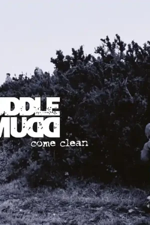 Authentic Puddle of Mudd - Come Clean (LP)