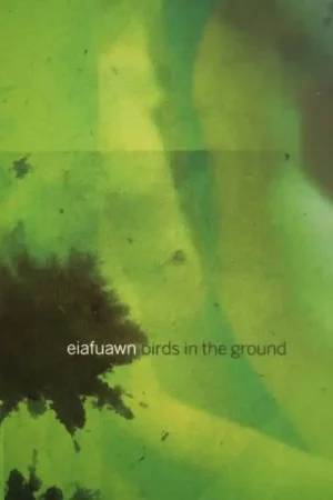 Eiafuawn - Birds In the Ground (LP) Popular