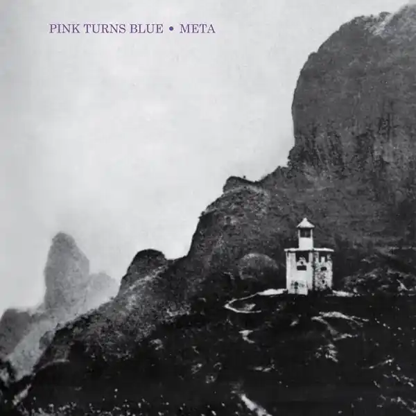Pink Turns Blue - Meta (LP) Reduced Price