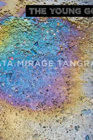 Young Gods - Data Mirage Tangram (3 LPs) Cheap