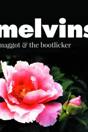 Special Offer Melvins - Maggot & the Bootlicker (LP)