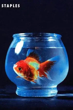Vince Staples - Big Fish Theory (2 LPs) Viral