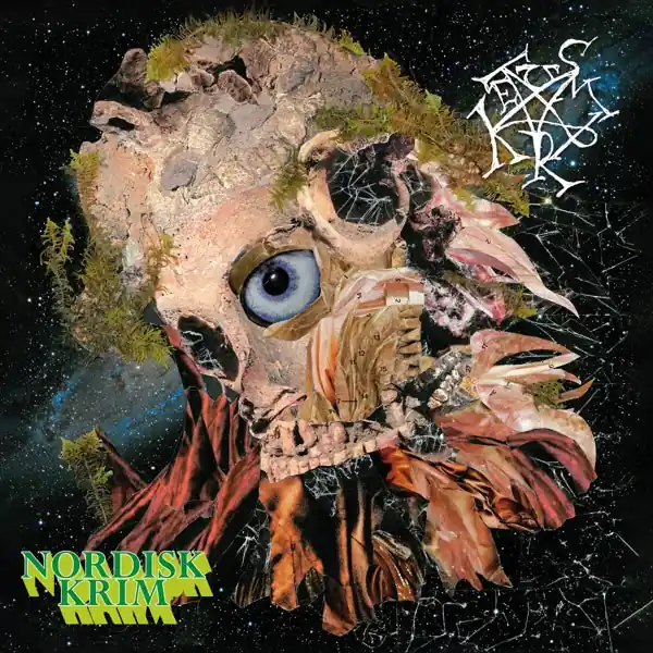 Next Day Delivery Tusmorke - Nordisk Krim (2 LPs)