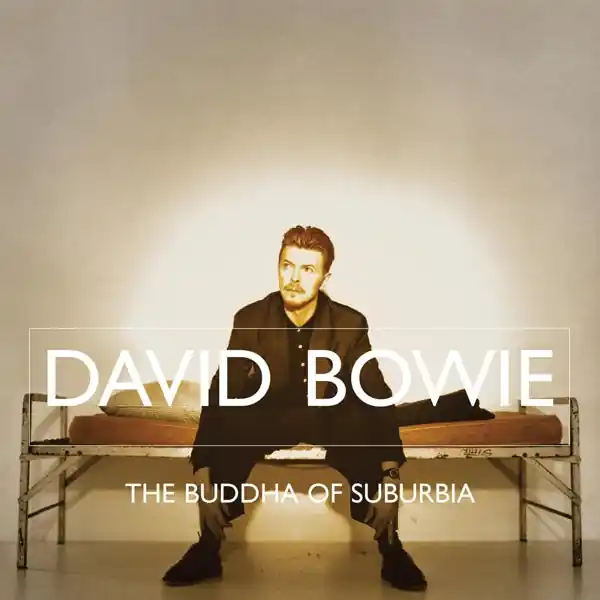 David Bowie - Buddha of Suburbia (2 LPs) Direct From Manufacturer