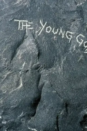 Hot Picks Young Gods - Young Gods (LP)