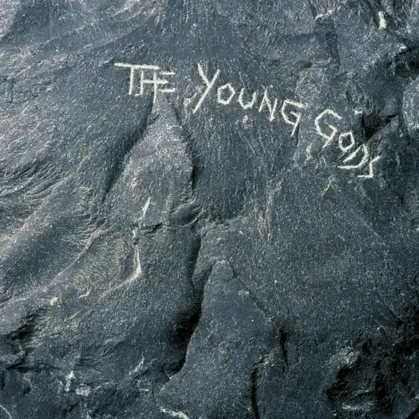 Hot Picks Young Gods - Young Gods (LP)