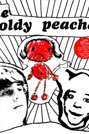 Moldy Peaches - Moldy Peaches (2 LPs) Final Sale