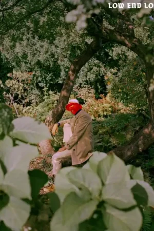 Pale Jay - Low End Love Songs (LP) Certified