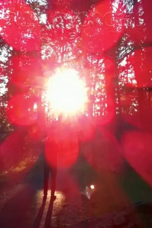 Russian Circles - Empros (LP) Warranty Included
