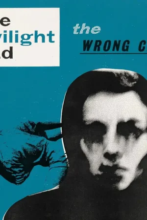 Fast Shipping Twilight Sad - Wrong Car (Single)