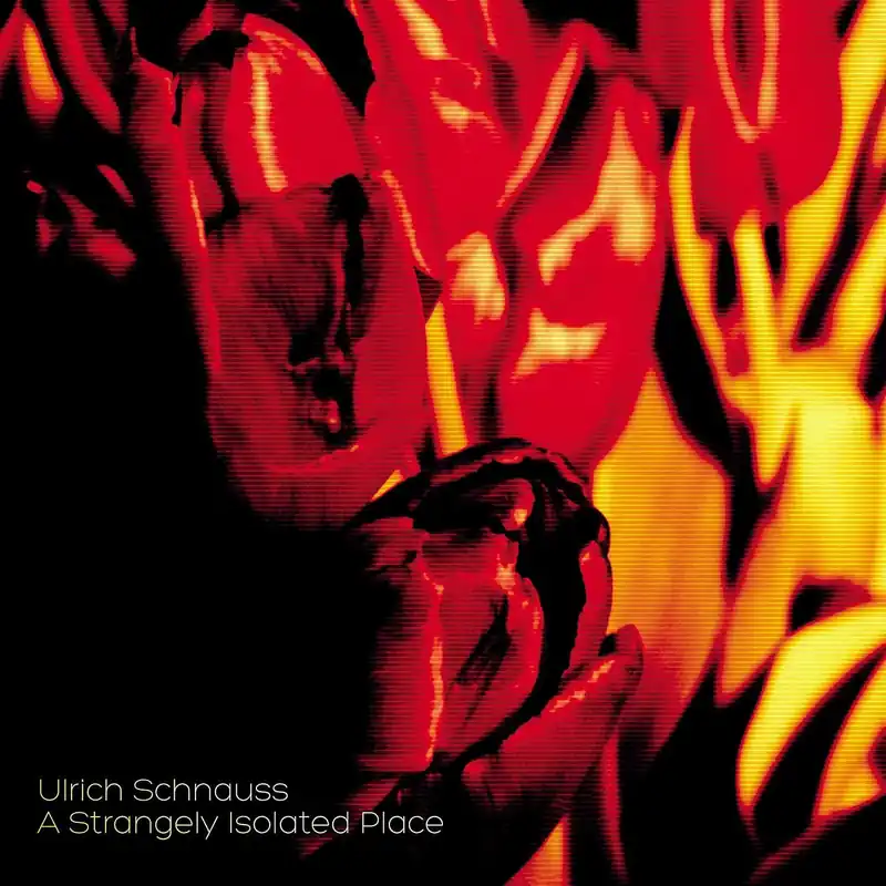 Ulrich -& Mark Peters- Schnauss - A Strangely Isolated Place (2 LPs) Trusted Brand