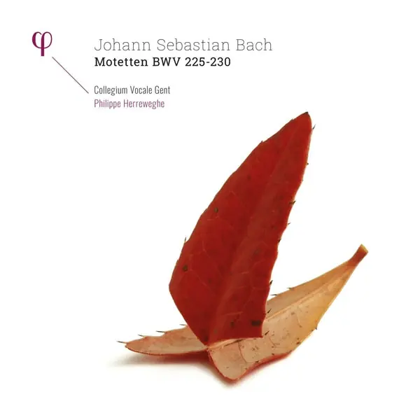 Frank Peter Zimmermann - Motetten Bwv 225-230 (2 LPs) Cheap