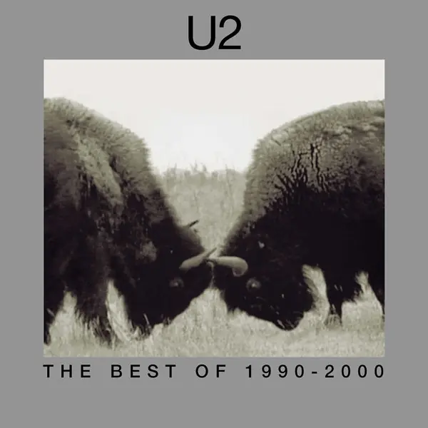 U2 - Best of 1990-2000 (2 LPs) Best Seller