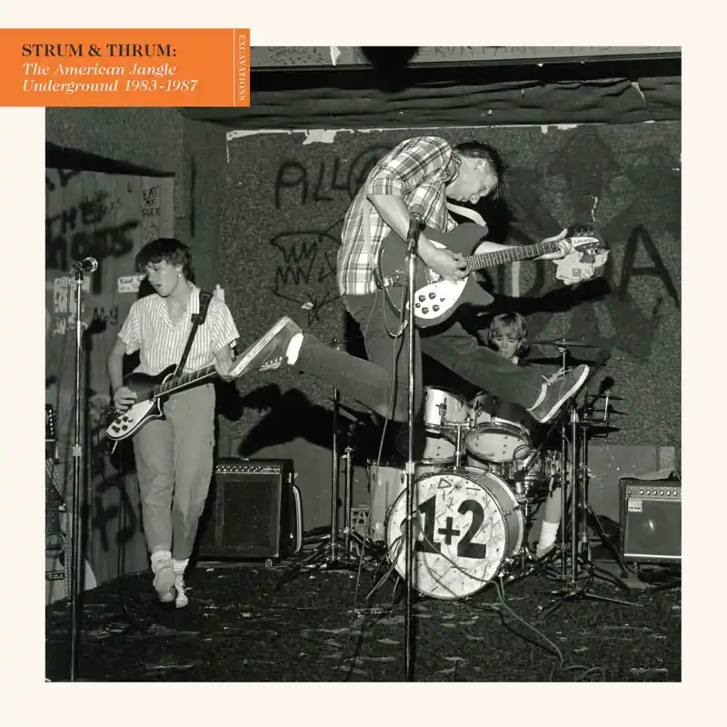 Various - Strum & Thrum: the American Jangle Underground 83- (2 LPs) Buy Direct