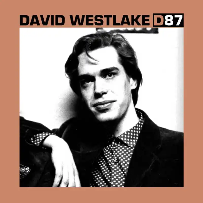 Hot Picks David Westlake - D87 (LP)