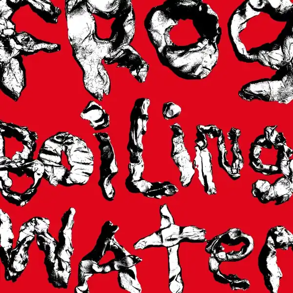 Diiv - Frog In Boiling Water (LP) Genuine