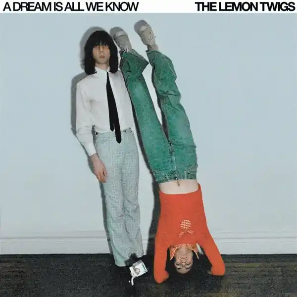 Direct From Factory Lemon Twigs - A Dream is All We Know (LP)