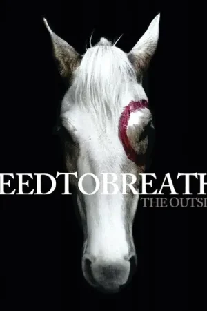 Needtobreathe - The Outsiders (LP) Luxury